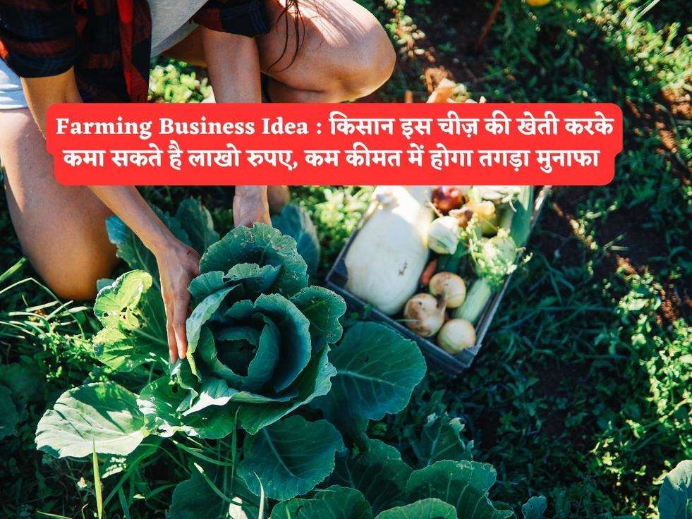 Farming Business Idea : किसान इस चीज़ की खेती करके कमा सकते है लाखो रुपए, कम कीमत में होगा तगड़ा मुनाफा 