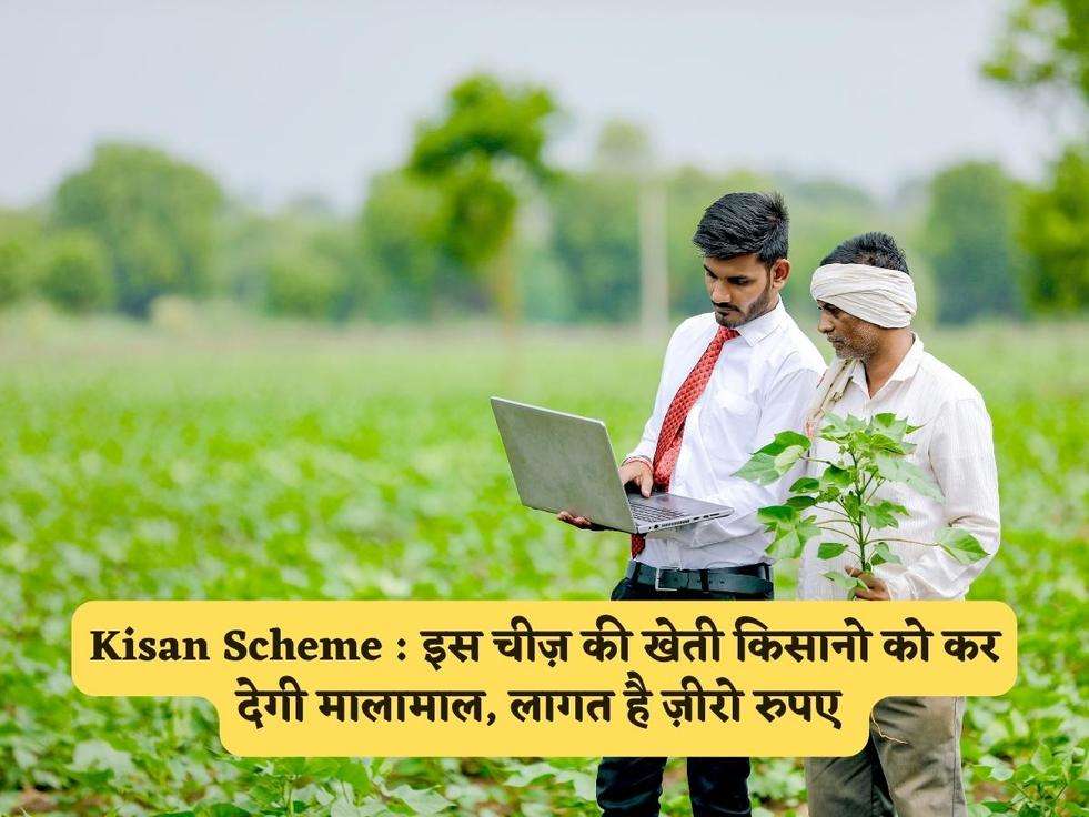 Kisan Scheme : इस चीज़ की खेती किसानो को कर देगी मालामाल, लागत है ज़ीरो रुपए 