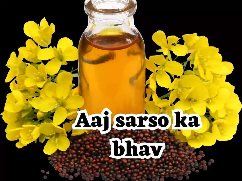 Aaj sarso ka bhav: हरियाणा में सरसों का आज का रेट, जानिए अपने शहर के अनुसार रेट 