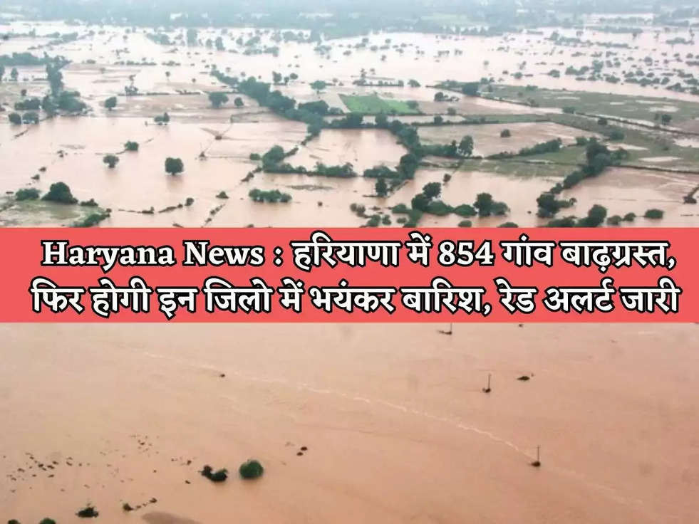 Haryana News : हरियाणा में 854 गांव बाढ़ग्रस्त, फिर होगी इन जिलो में भयंकर बारिश, रेड अलर्ट जारी  