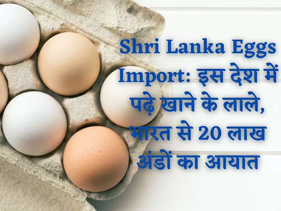 Shri Lanka Eggs Import:  इस देश में पढ़े खाने के लाले, भारत से 20 लाख अंडों का आयात