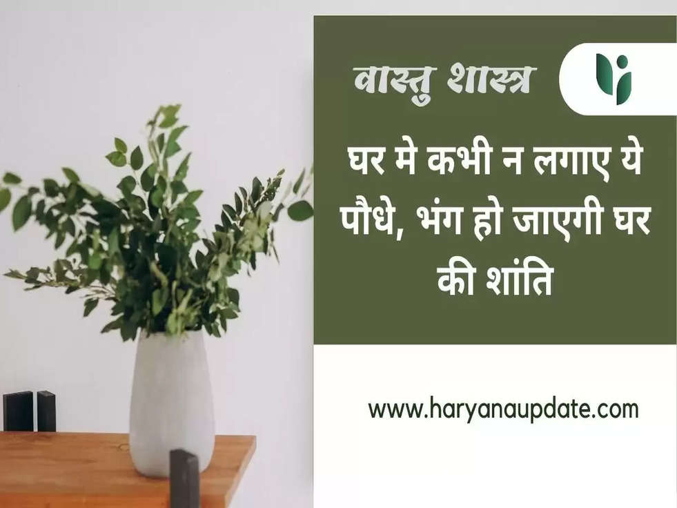 vastu tips plants for home