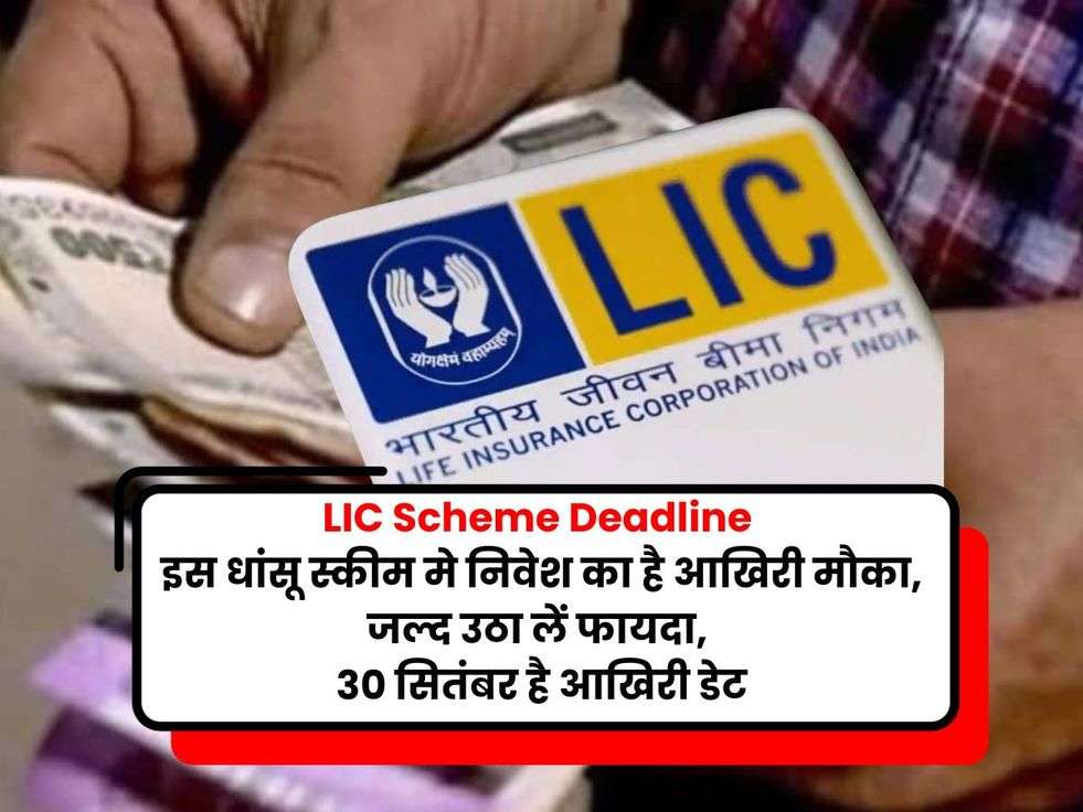 lic dhan vriddhi scheme