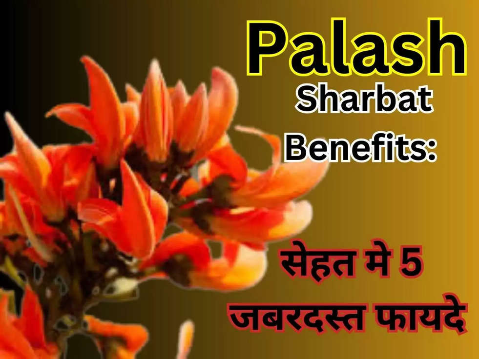 Palash Sharbat Benefits: सेहत मे 5 जबरदस्त फायदे करता है पलाश का शर्बत, जाने कैसे करे तैयार|