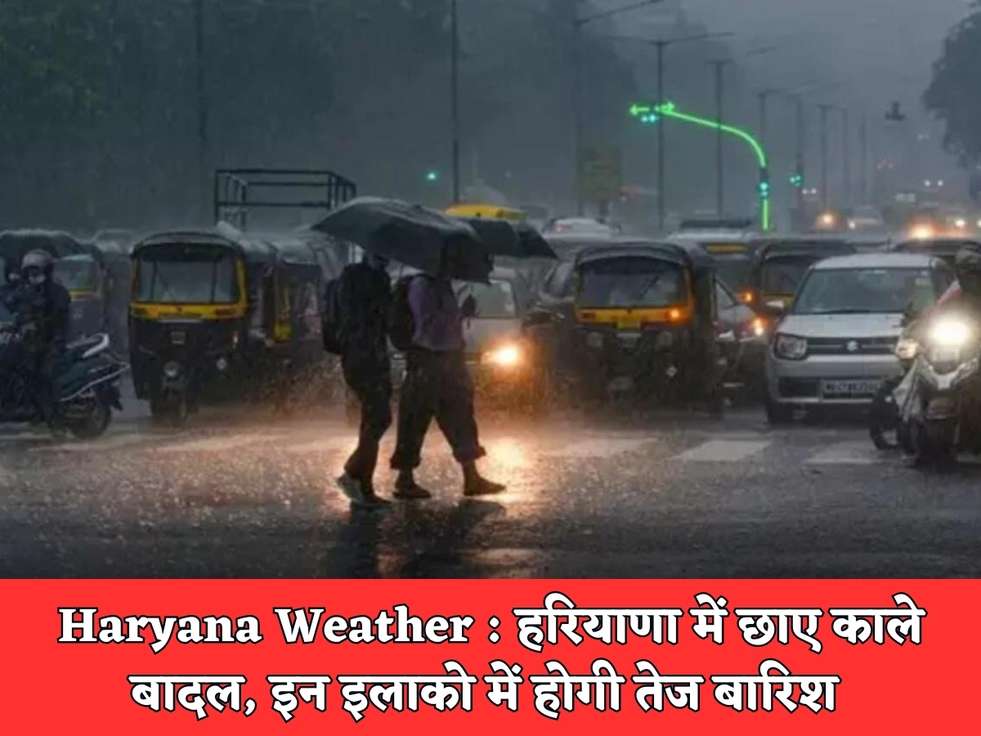 Haryana Weather : हरियाणा में छाए काले बादल, इन इलाको में होगी तेज बारिश 