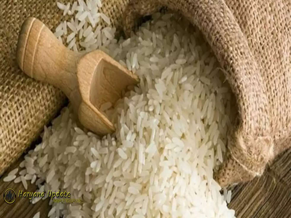 Rice export ban: भारत में चावल  निर्यात पर लगी रोक, कम बारिश से गिर सकता है उत्पादन