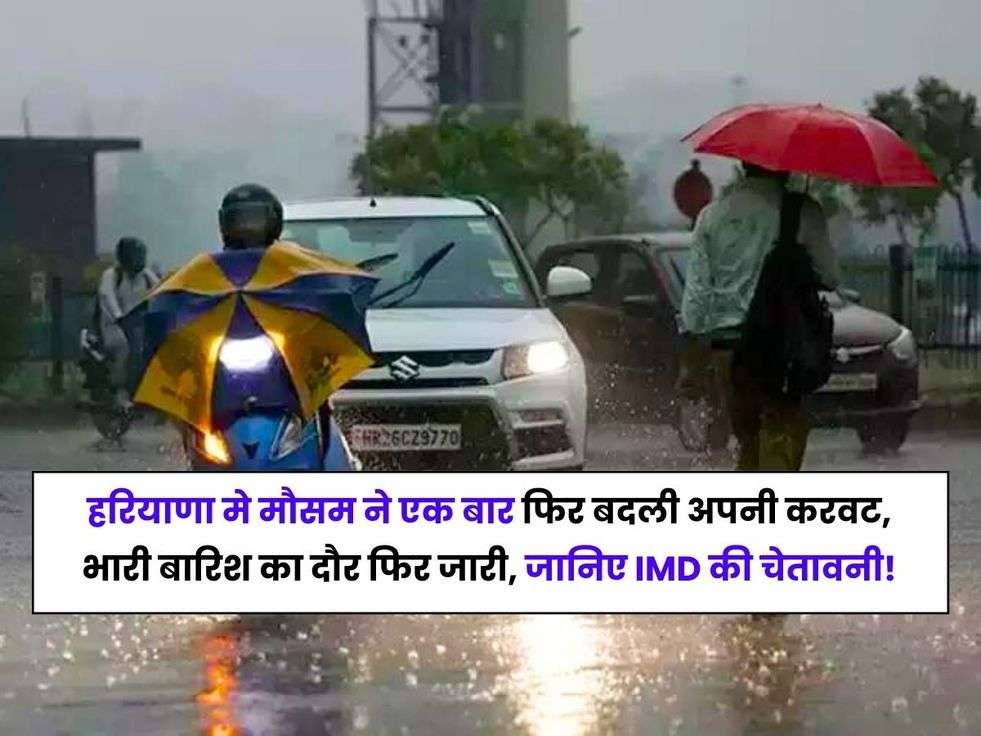 Weather rain update, weather update haryana, haryana today weather, Weather Effect, Haryana Weather, Hisar News, Haryana CommonManIssues, मौसम प्रभाव, हरियाणा में बारिश, हरियाणा मौसम, हिसार न्‍यूज,Haryana Weather Today, Weather Update Today, IMD, Rain alert,