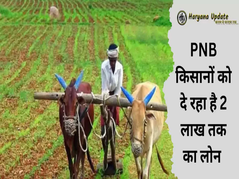  pnb agriculture loan