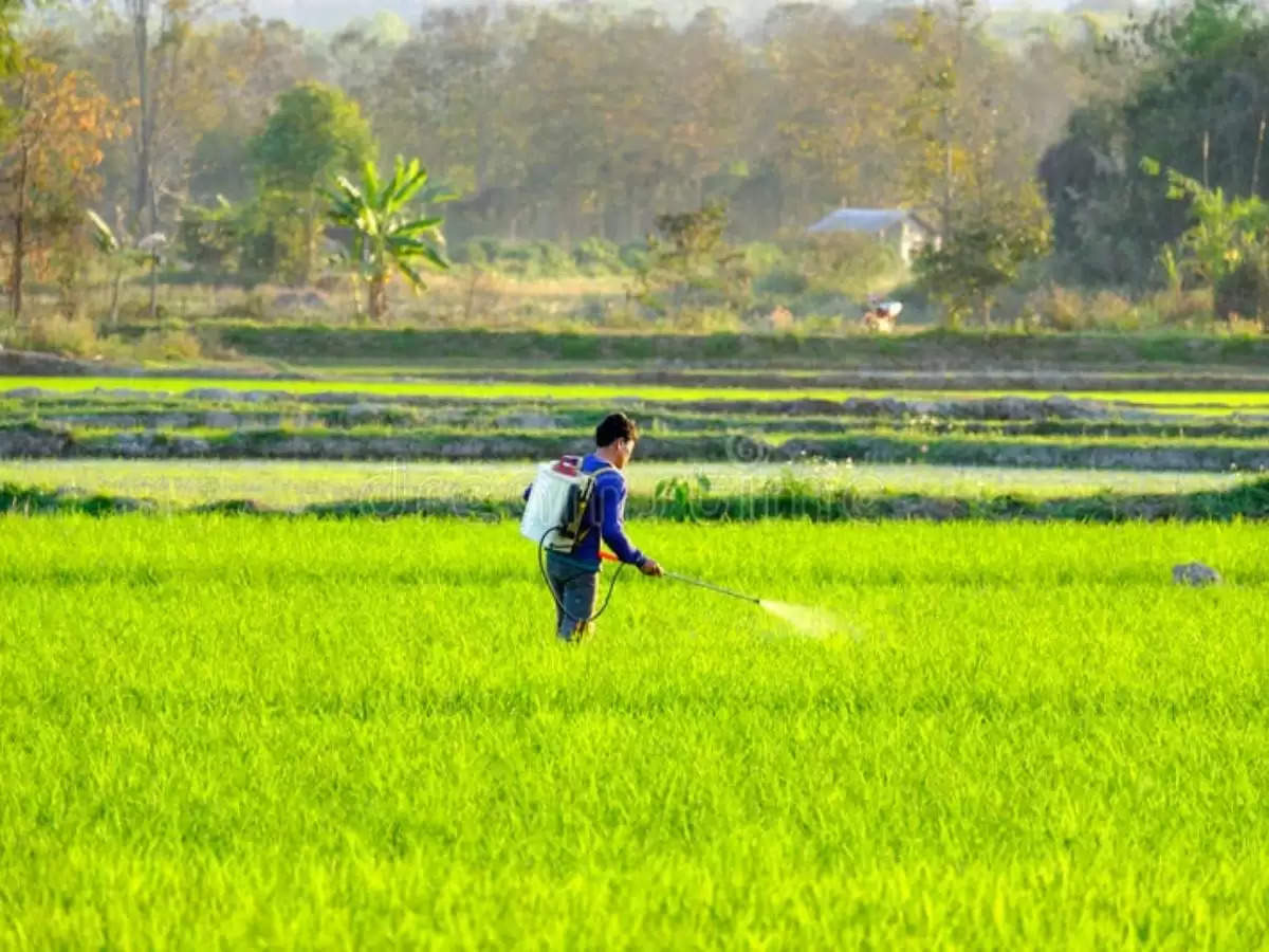 Khad Update: खाद ने बढ़ाई रबी फसलों की बुवाई करने वाले किसानों की चिंता, जानिए वजह 