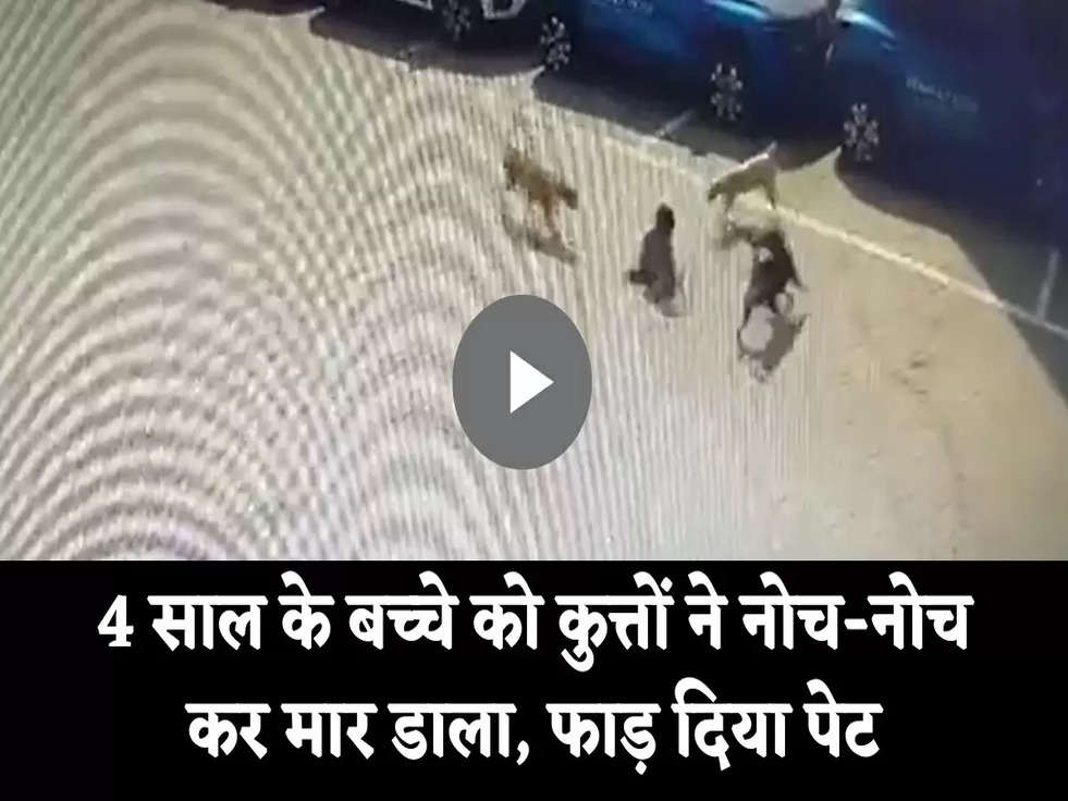 Viral Video: 4 साल के बच्चे को कुत्तों ने नोच-नोच कर मार डाला, फाड़ दिया पेट