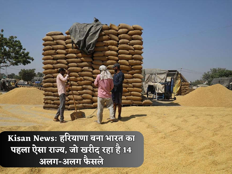 Kisan News: हरियाणा बना भारत का पहला ऐसा राज्य, जो खरीद रहा है 14 अलग-अलग फैसले