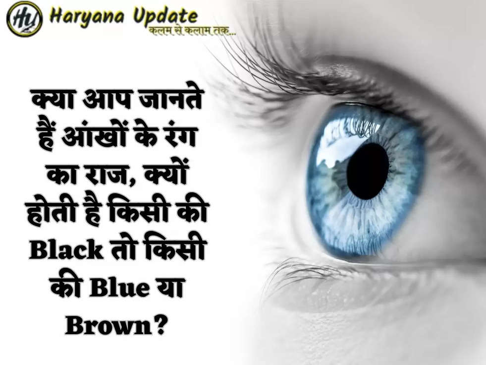 क्या आप जानते हैं आंखों के रंग का राज, क्यों होती है किसी की Black तो किसी की Blue या Brown?