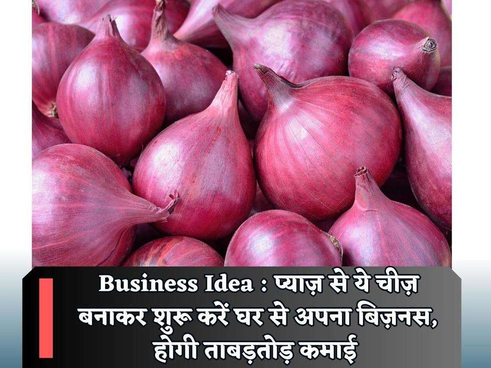 Business Idea : प्याज़ से ये चीज़ बनाकर शुरू करें घर से अपना बिज़नस, होगी ताबड़तोड़ कमाई 