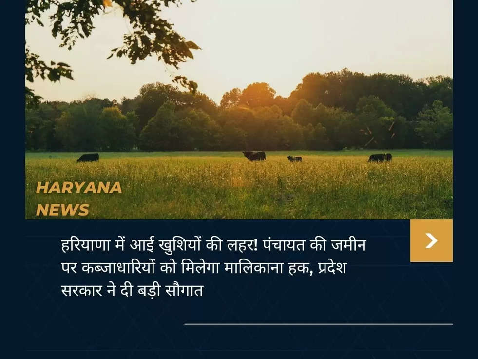 हरियाणा में आई खुशियों की लहर! पंचायत की जमीन पर कब्जाधारियों को मिलेगा मालिकाना हक, प्रदेश सरकार ने दी बड़ी सौगात