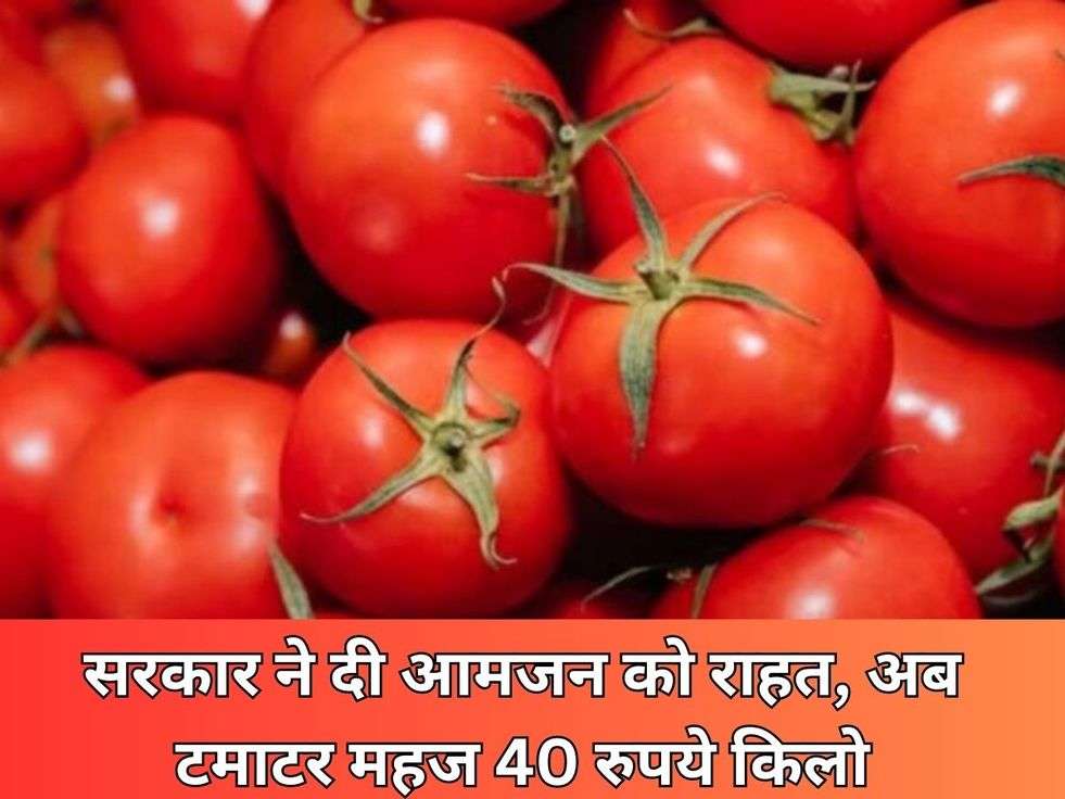 Tomato Price