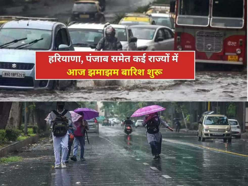 Rain Alert: हरियाणा, पंजाब समेत कई राज्यों में आज झमाझम बारिश शुरू, जाने मौसम का हाल 