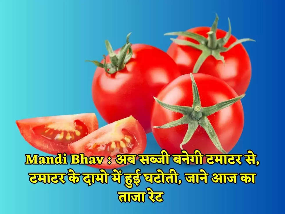 Mandi Bhav : अब सब्जी बनेगी टमाटर से, टमाटर के दामो में हुई घटोती, जाने आज का ताजा रेट 