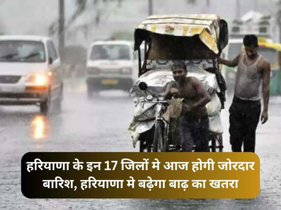 haryana rain alert