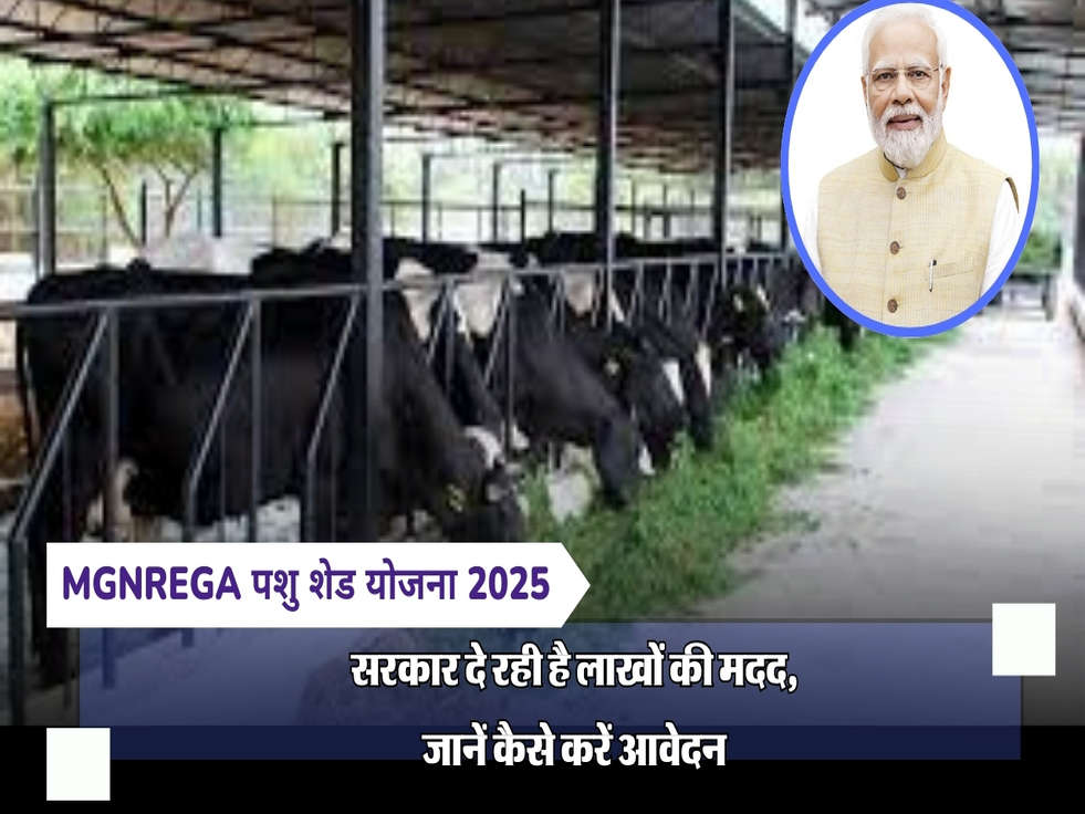 MGNREGA पशु शेड योजना 2025: सरकार दे रही है लाखों की मदद, जानें कैसे करें आवेदन