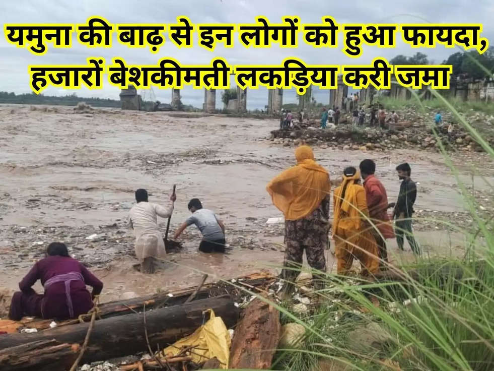 yamuna flood news