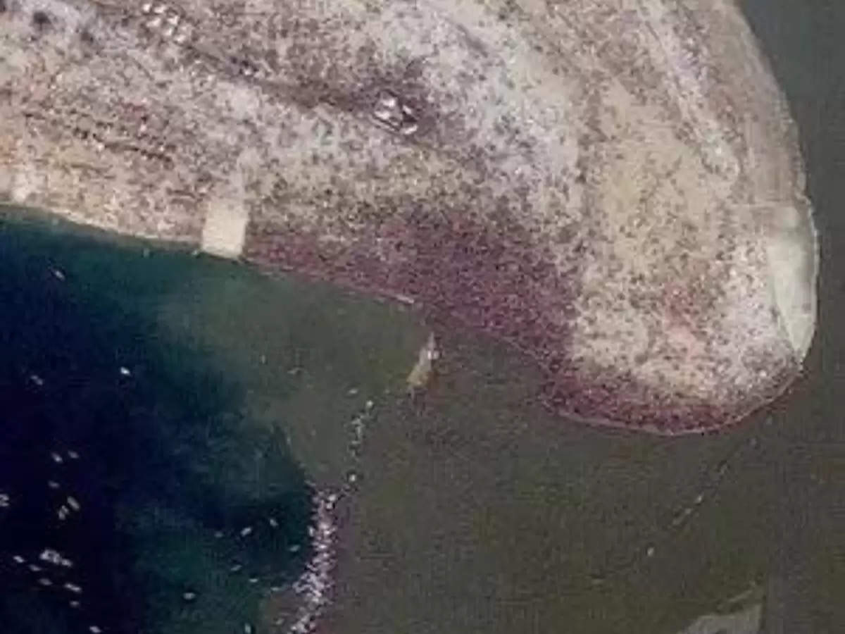 Kumbh Mela From Space