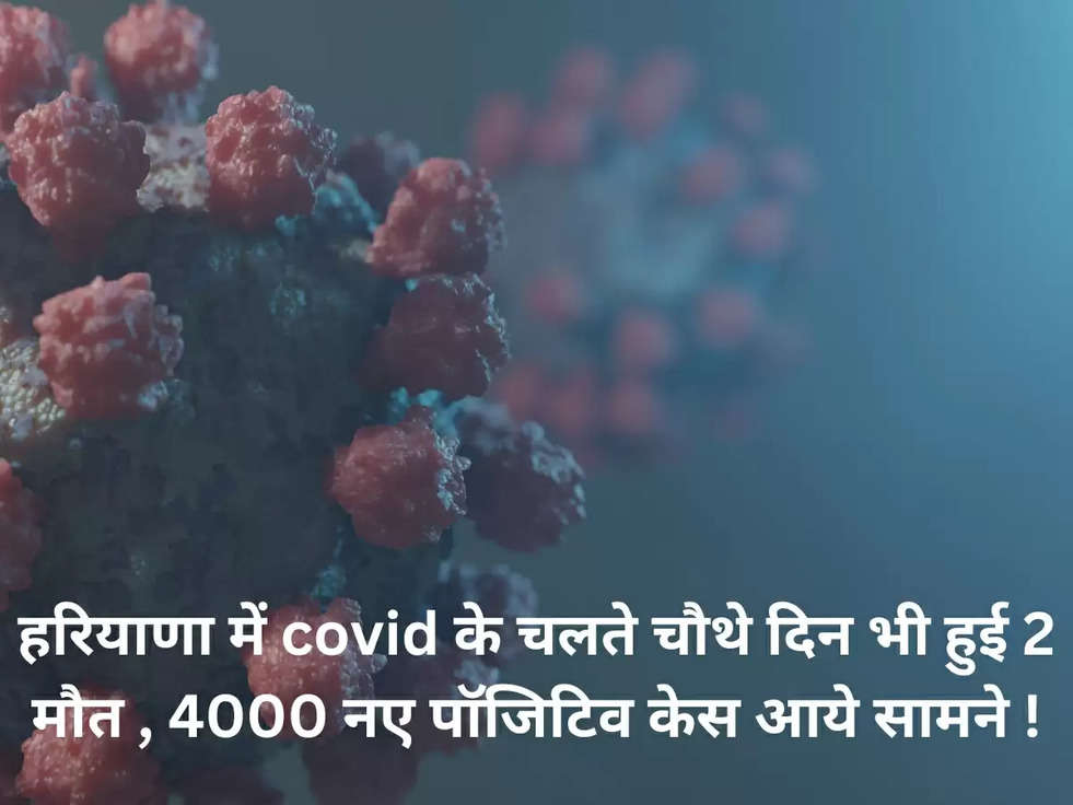 हरियाणा में covid के चलते चौथे दिन भी हुई 2 मौत , 4000 नए पॉजिटिव केस आये सामने !